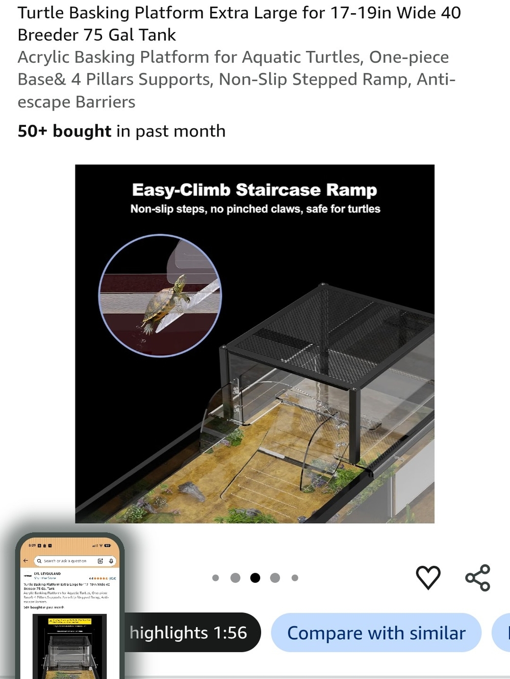 Clear Acrylic Turtle Basking Platform with Ramp - Transparent - Picture 3 of 5